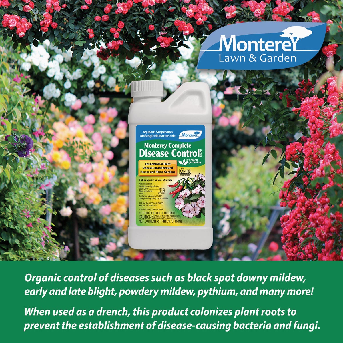 Monterey 1 Pt. Concentrate Complete Disease Control Image 2