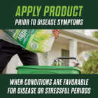 Scotts Turf Builder Healthy Plus Lawn Food FL 4000 Sq. Ft. 2-In-1 Fungicide & Fertilizer Image 8