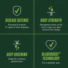 Scotts Turf Builder Healthy Plus Lawn Food FL 4000 Sq. Ft. 2-In-1 Fungicide & Fertilizer Image 4