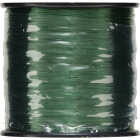 Berkley Trilene Big Game 30 Lb. 440 Yd. Green Monofilament Fishing Line Image 2