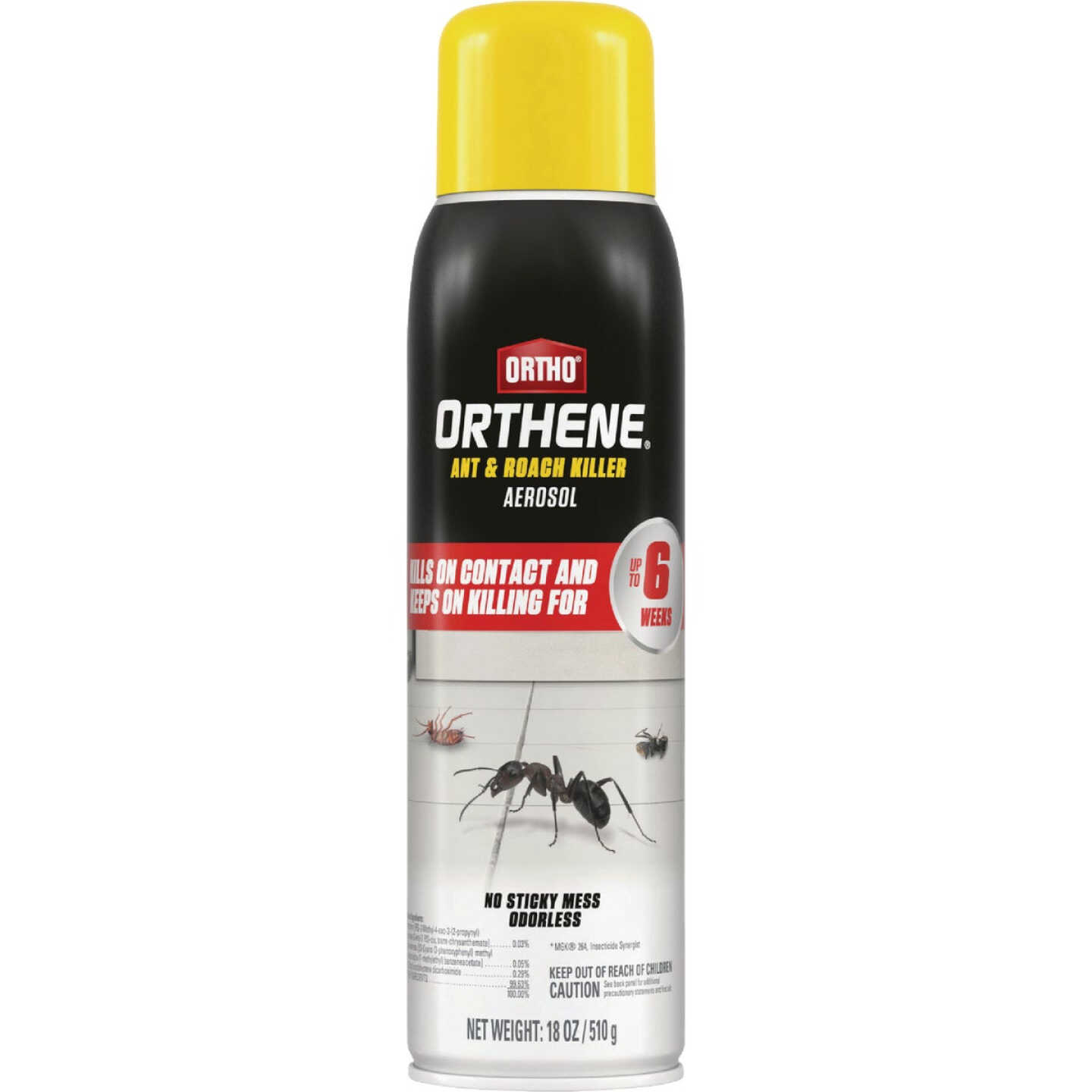 Ortho Orthene 18 Oz. Aerosol Spray Ant & Roach Killer Image 1