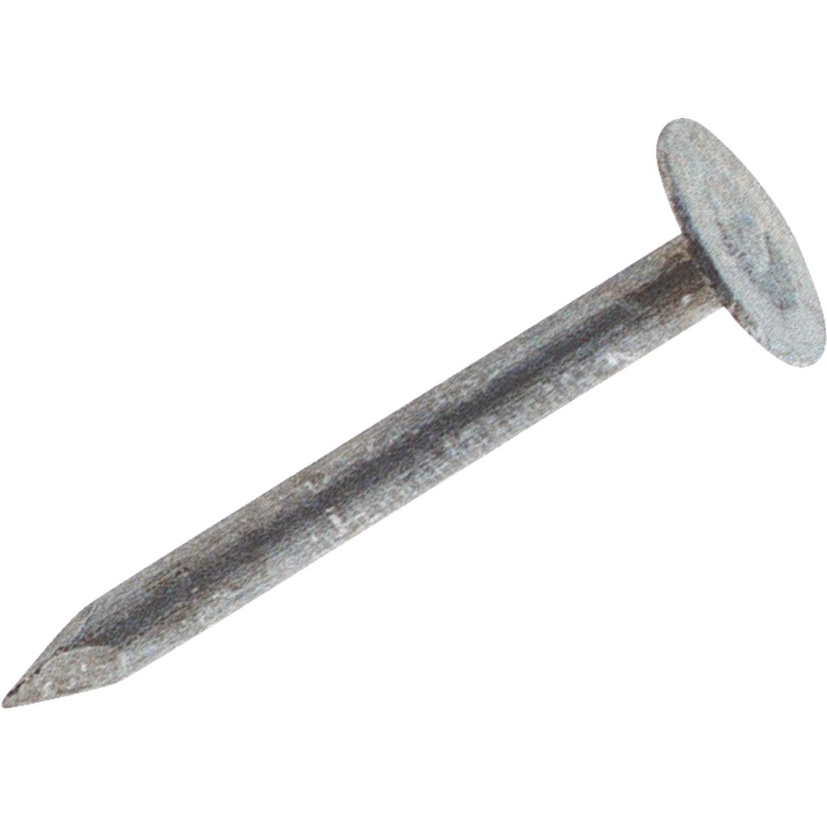 5LB 3/4" EG ROOF NAIL