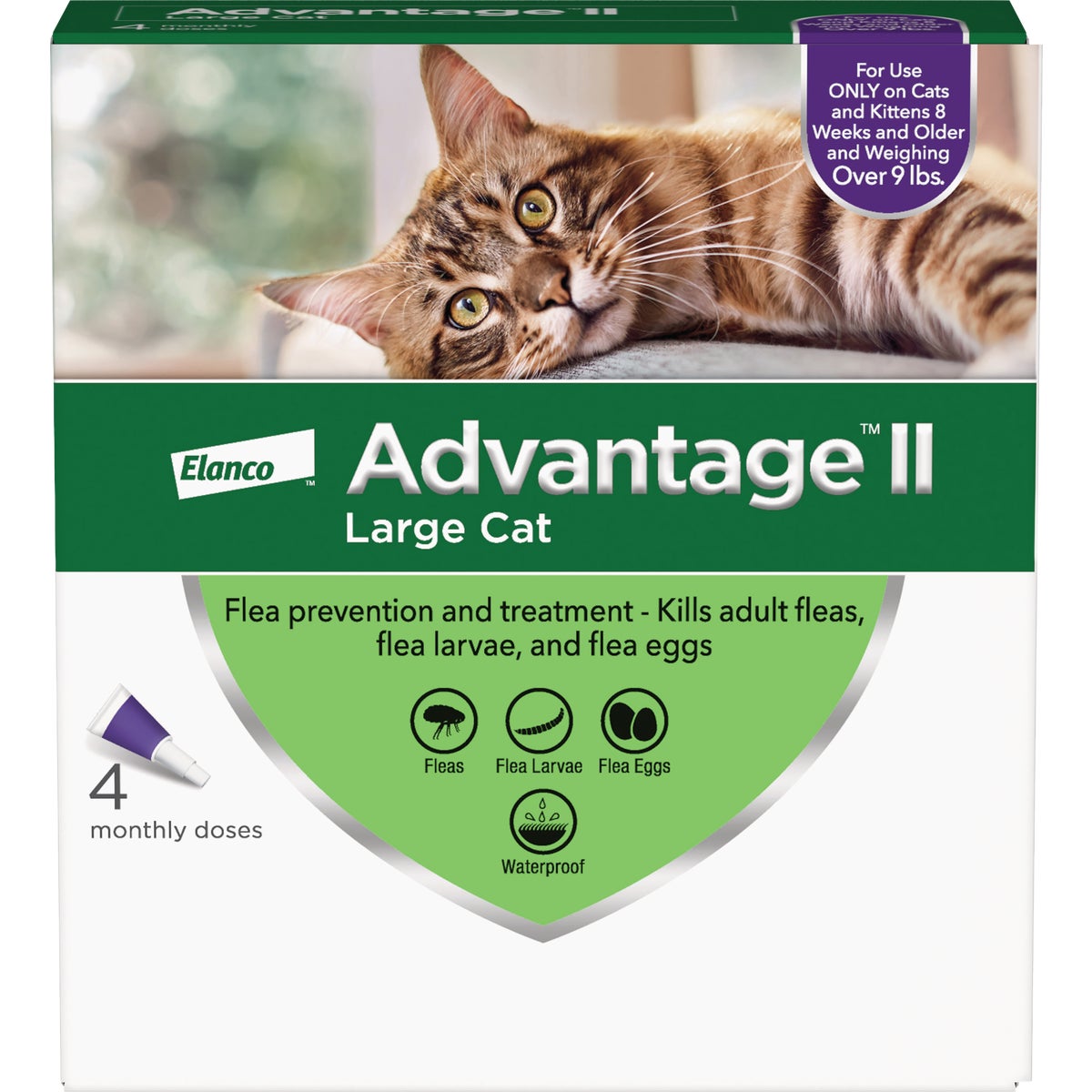 Advantage II Large Cat Fleat Prevention & Treatment (4-Pack)