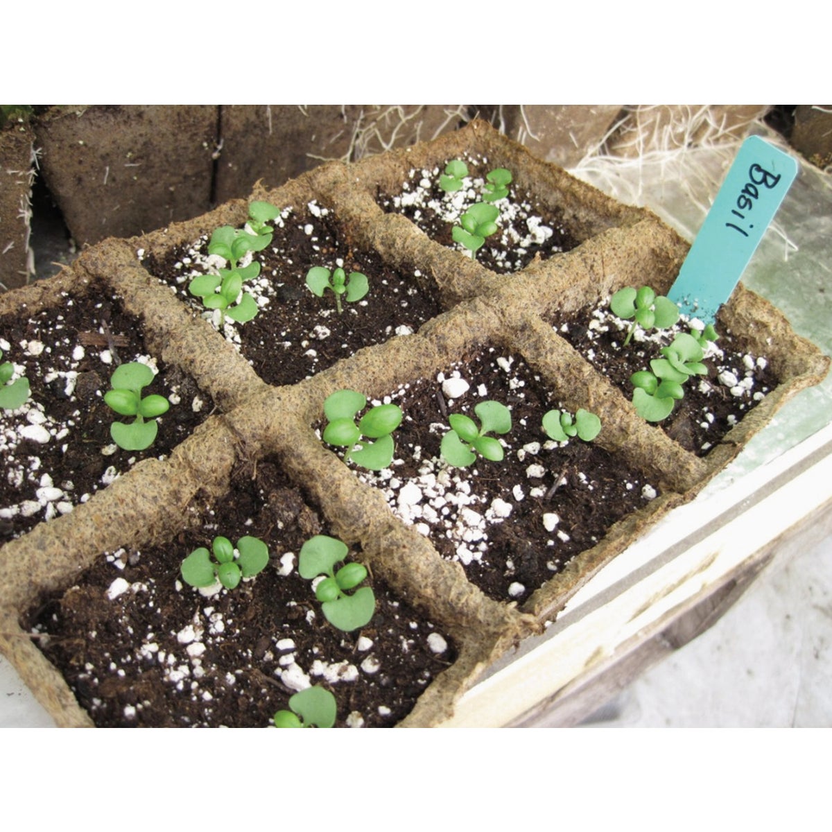 Summit CowPots 6-Cell #3 Square Cow Manure Grow Pot (3-Pack) Image 3