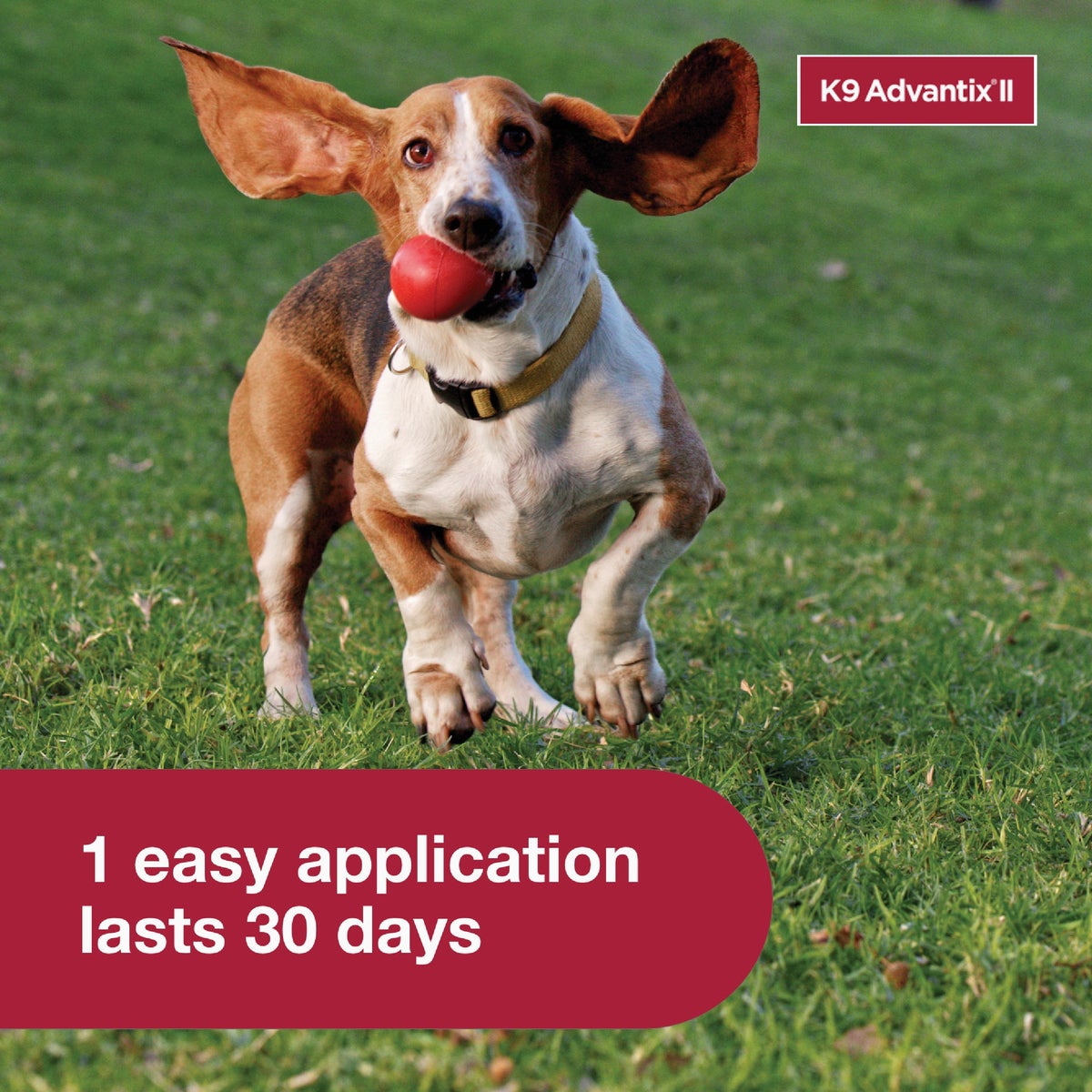 K9 Advantix II Medium Dog Teal 1-Month Flea Treatment (2-Pack) Image 4