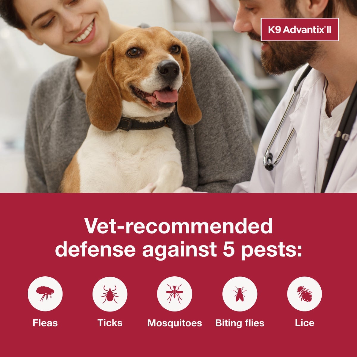 K9 Advantix II Medium Dog Teal 1-Month Flea Treatment (2-Pack) Image 3