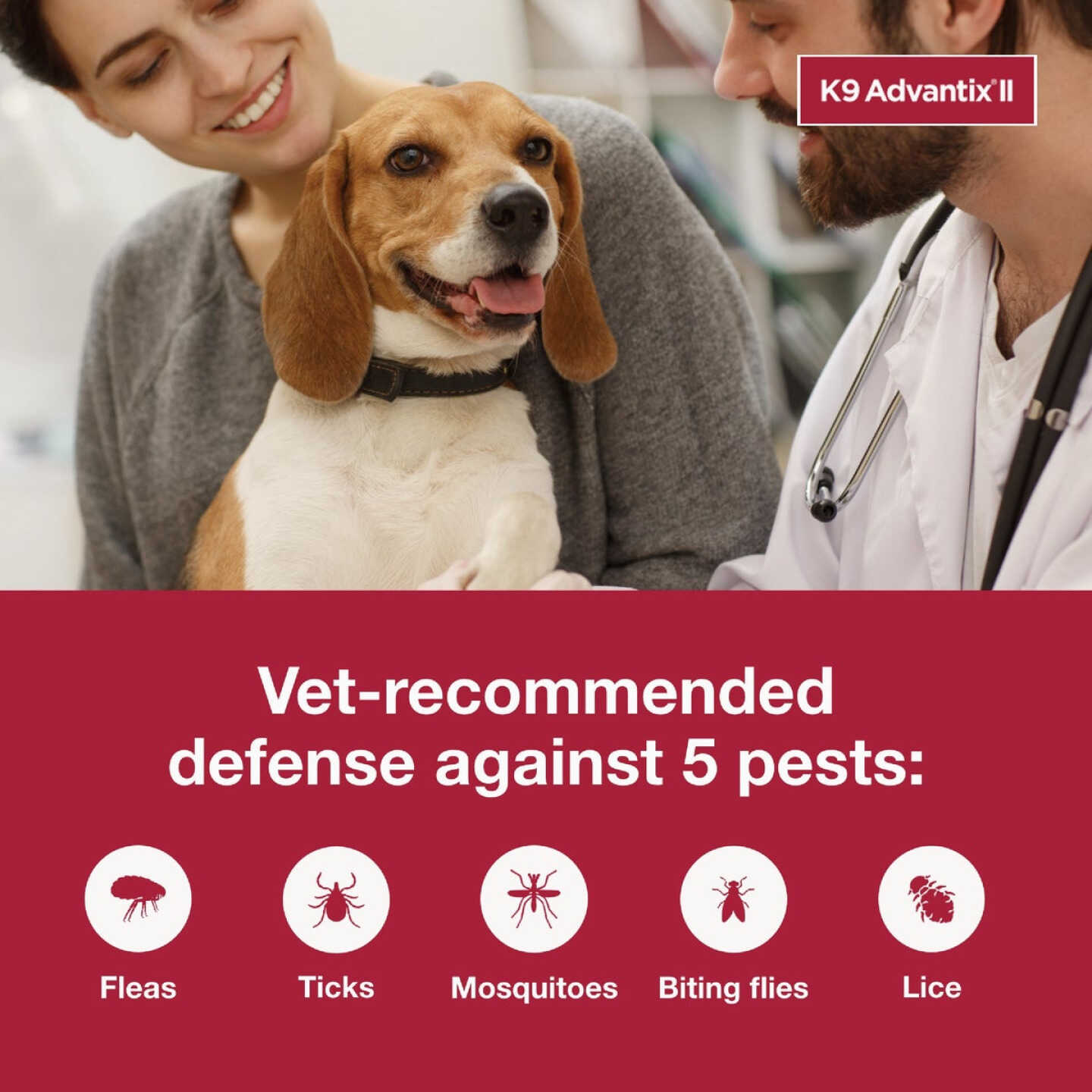 K9 Advantix II Medium Dog Teal 1-Month Flea Treatment (2-Pack) Image 3
