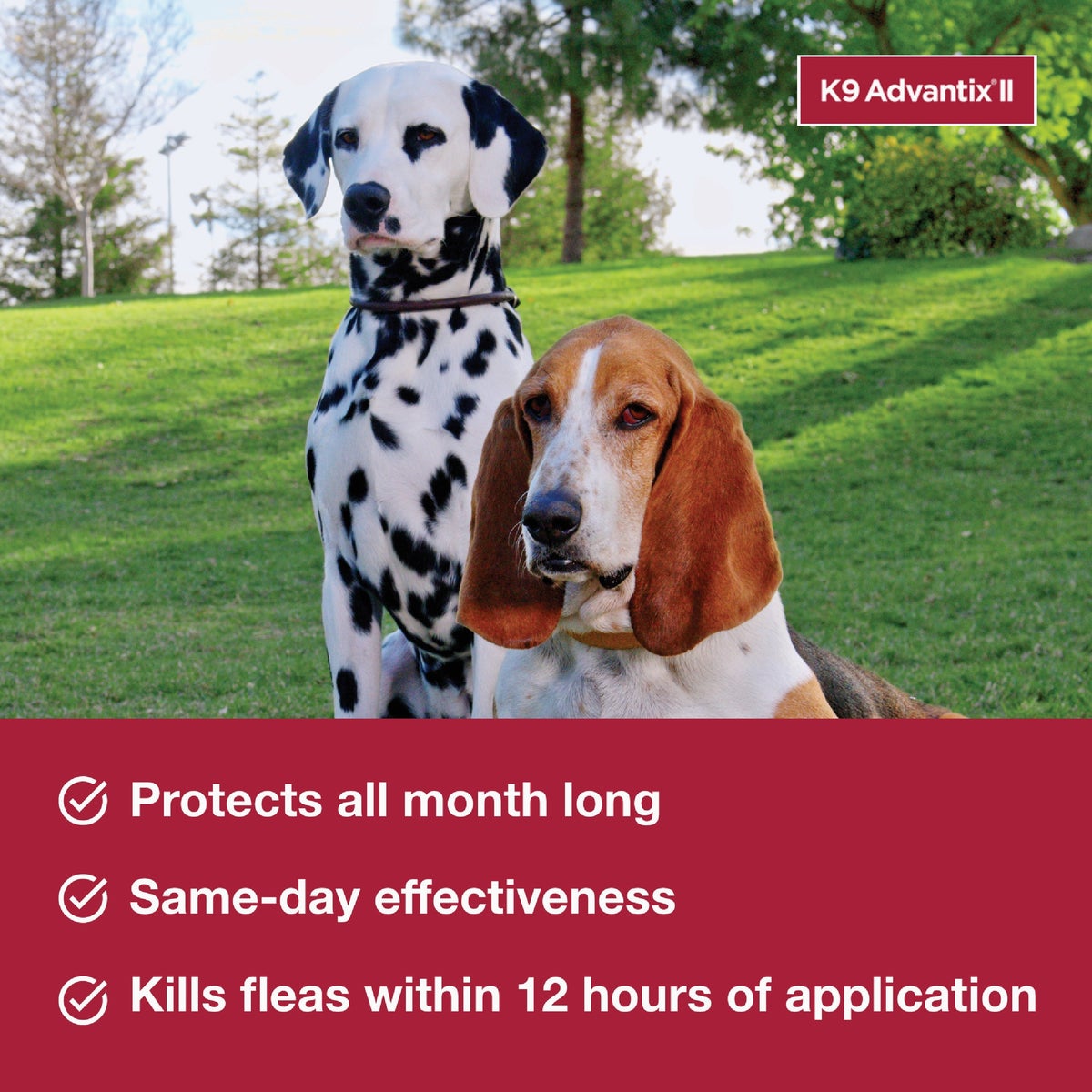 K9 Advantix II Medium Dog Teal 1-Month Flea Treatment (2-Pack) Image 2