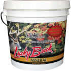 Lucky Buck 20 Lb. Mineral Deer Supplement Image 1