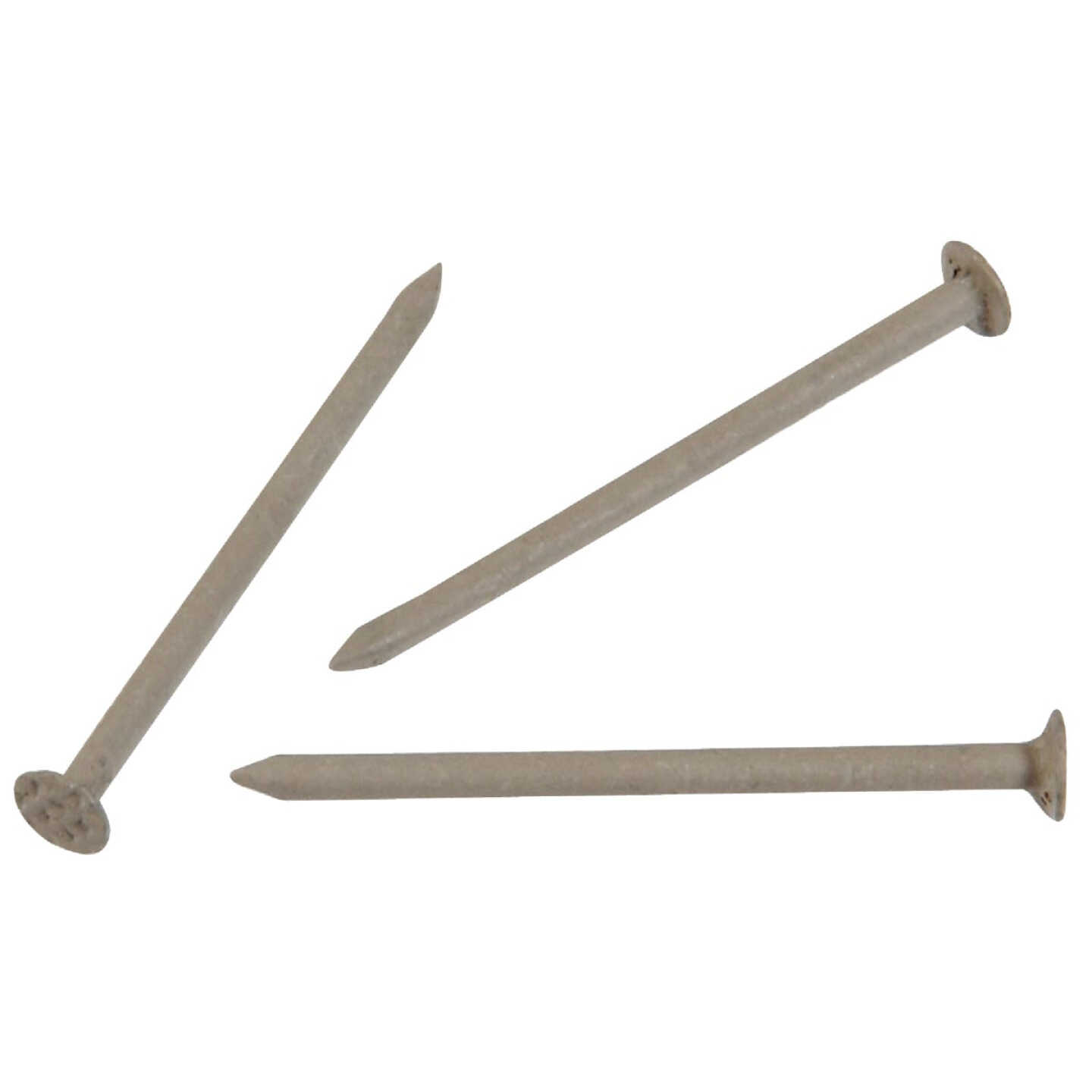 Hillman Anchor Wire 1-1/4 In. 15 ga Clay Stainless Steel Trim Nails (5-Count, 6 Oz.) Image 1