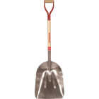 Razor-Back 31 In. #12 Aluminum Western Pattern Scoop Shovel with Wood Handle Image 1