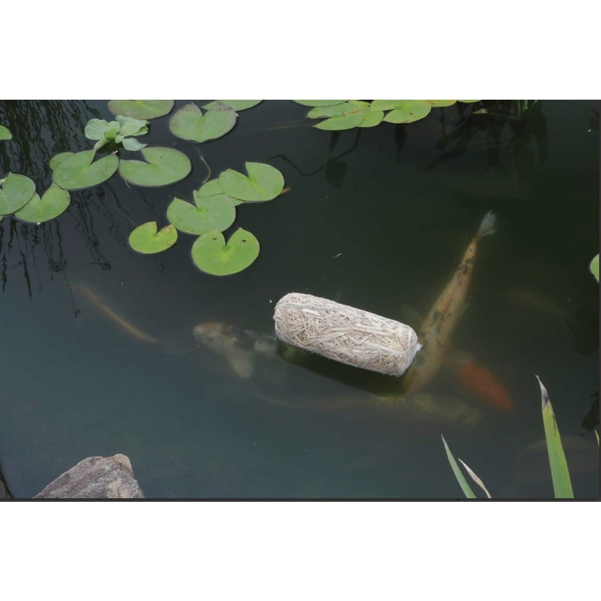 Summit Clear-Water Barley Straw Pond Treatment (2-Pack) Image 3