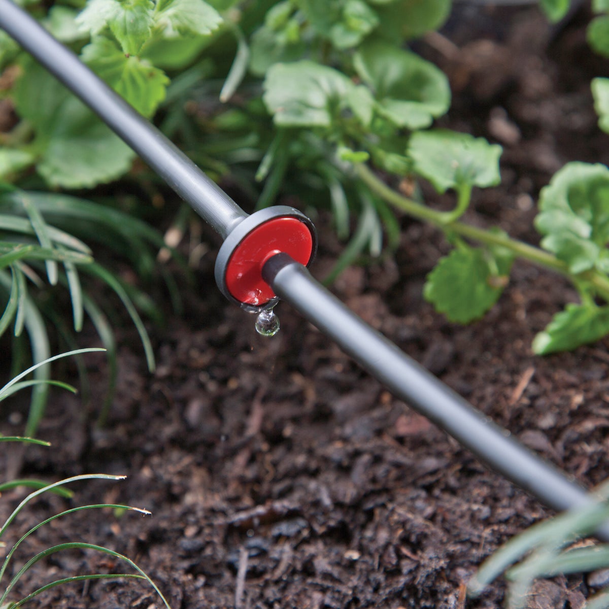 Raindrip 0.50 GPH Spot Drip Irrigation Mini In-Line Dripper (25-Pack) Image 2
