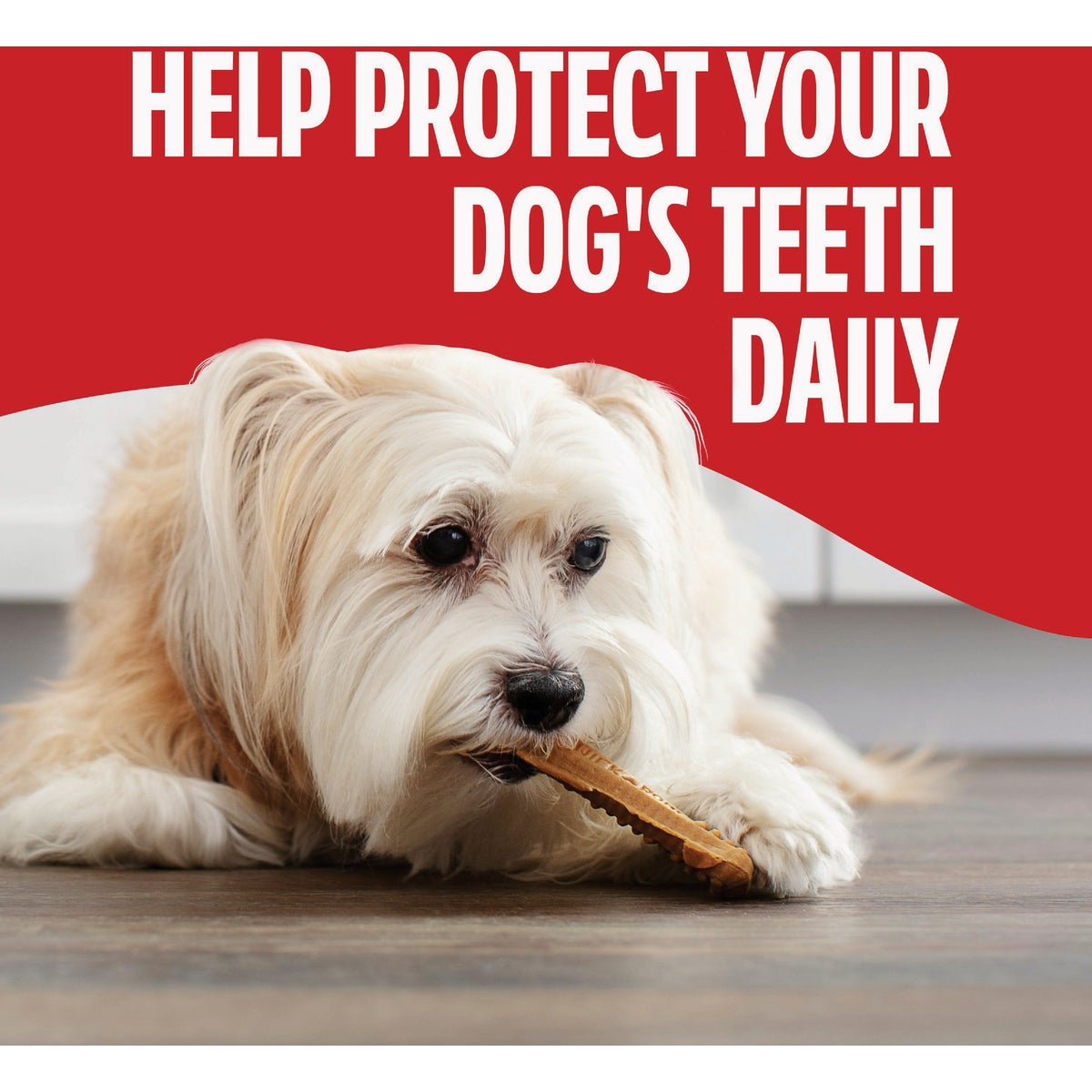 Milk Bone 18.9 Oz. Brushing Chews, Original Chicken Flavor, Mini Image 4