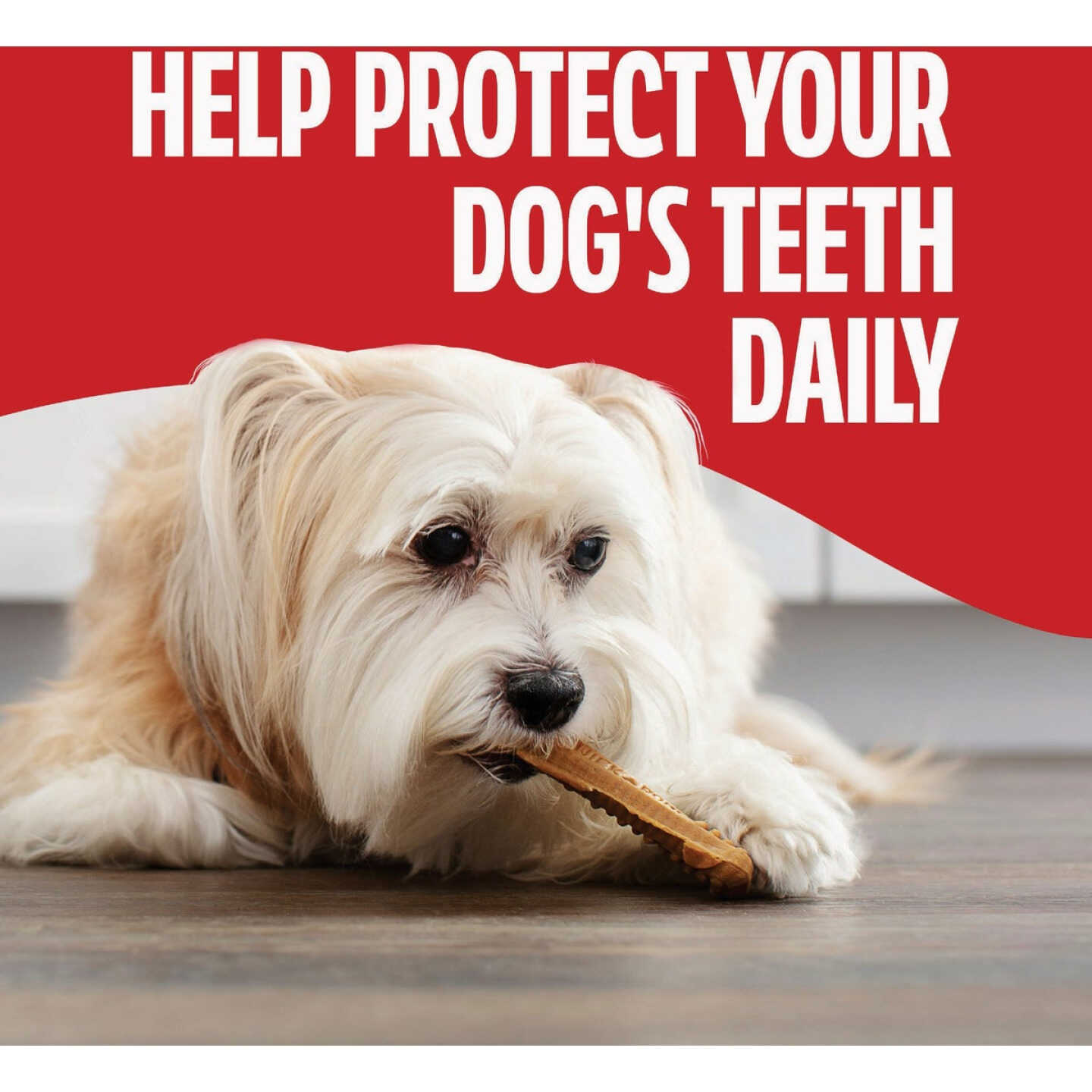 Milk Bone 18.9 Oz. Brushing Chews, Original Chicken Flavor, Mini Image 4