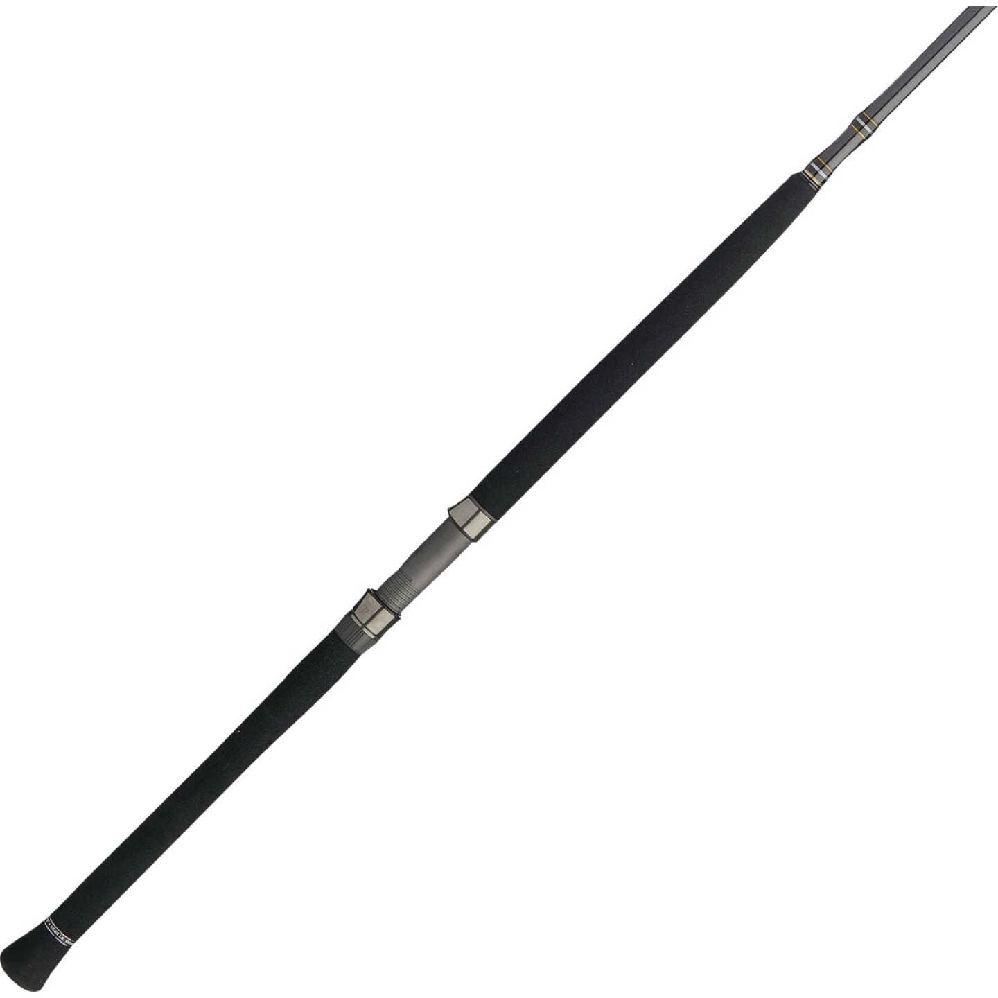 PENN Carnage III Boat Conventional West Coast Rod Image 1