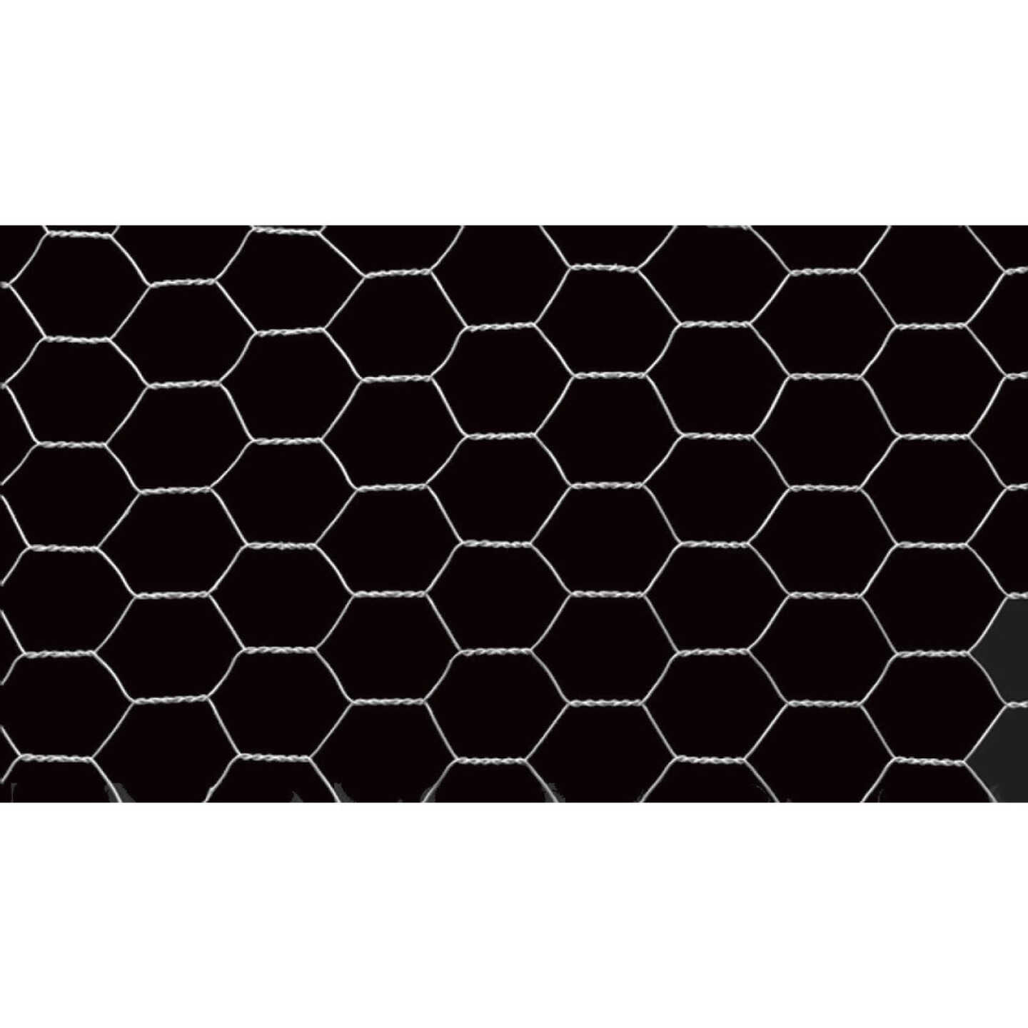 Agway 1 In. x 36 In. H. x 25 Ft. L. Hexagonal Wire Poultry Netting Image 3