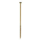 5LB 10X6 EXT SCREW Image 1