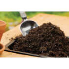 Black Gold 1.5 Cu. Ft. 37 Lb. All Purpose Potting Soil Mix Image 2