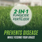 Scotts Turf Builder Healthy Plus Lawn Food FL 8000 Sq. Ft. 2-In-1 Fungicide & Fertilizer Image 3