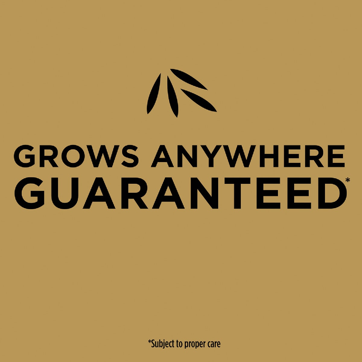 Scotts EZ Seed 10 Lb. 225 Sq. Ft. Patch & Repair Sun and Shade Mulch, Seed and Fertilizer Combination Image 3