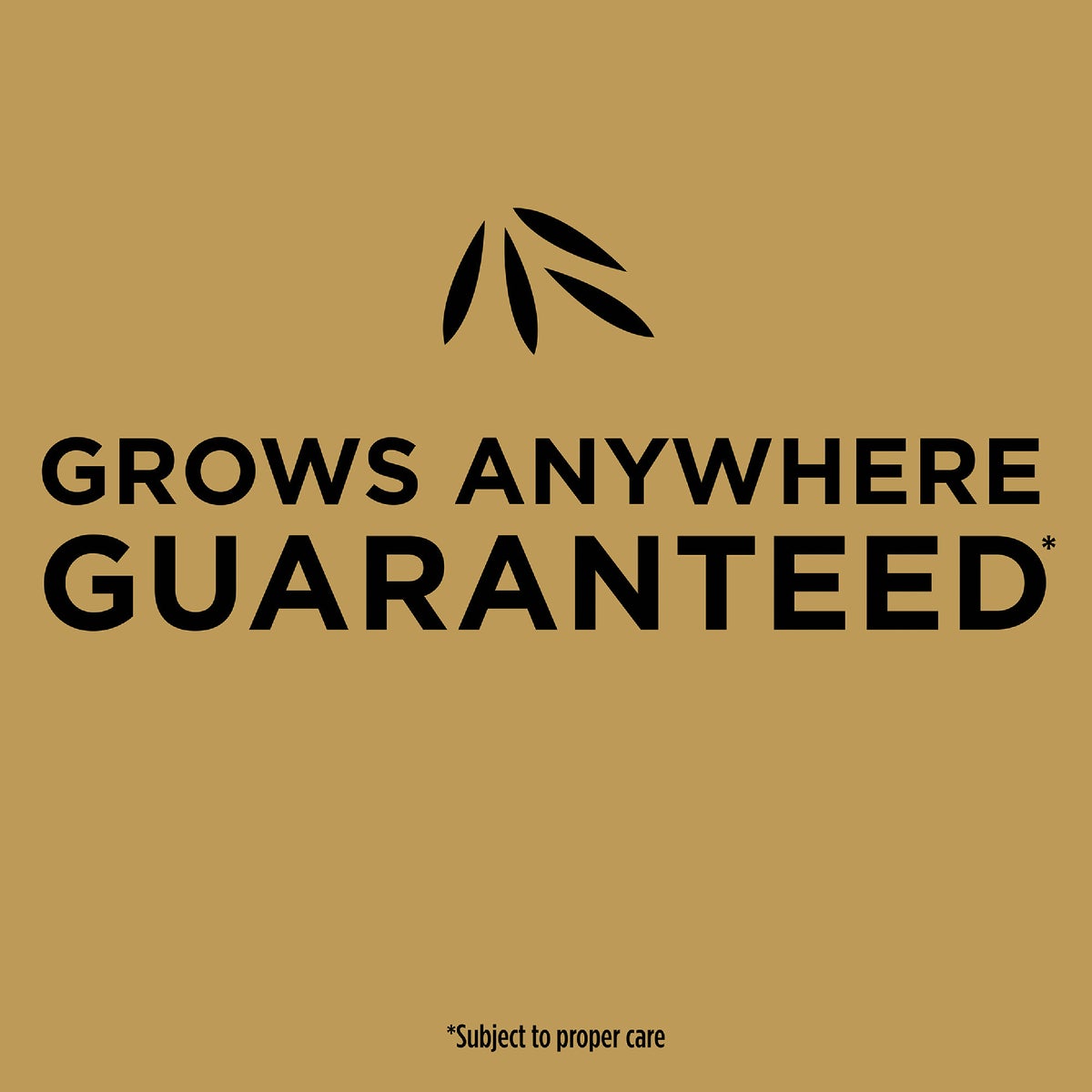 Scotts EZ Seed 10 Lb. 225 Sq. Ft. Patch & Repair For Tall Fescue Lawns Mulch, Seed and Fertilizer Combination Image 5