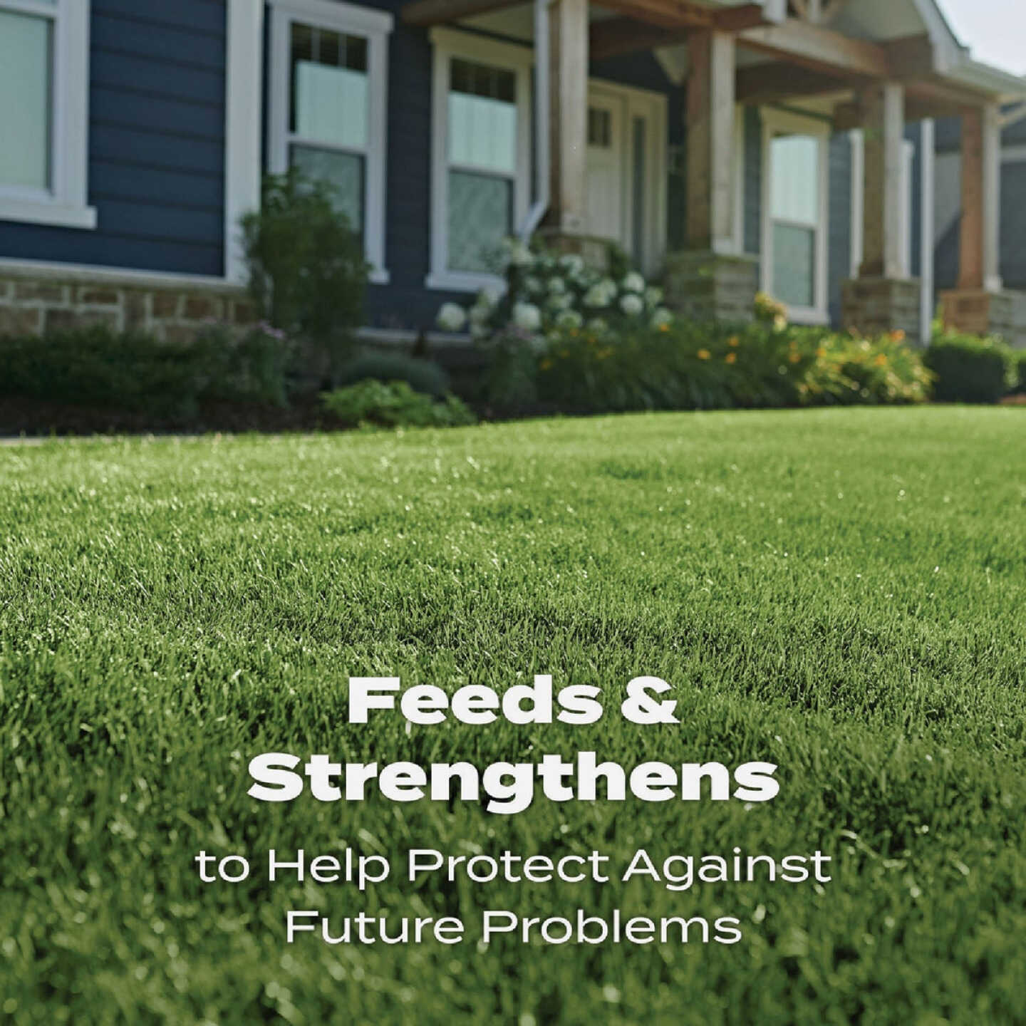Scotts Turf Builder 12.5 Lb. 5000 Sq. Ft. Lawn Food Image 7