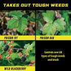 Ortho GroundClear 32 Oz. Concentrate Poison Ivy & Tough Brush Killer Image 2