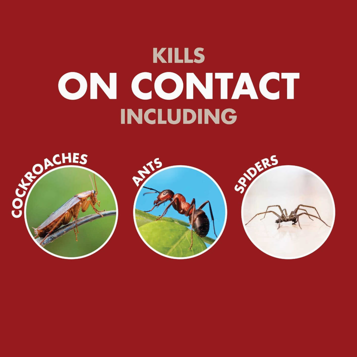 Spectracide Bug Stop Home Barrier 1 Gal. Ready To Use Trigger Spray Insect Killer Image 6