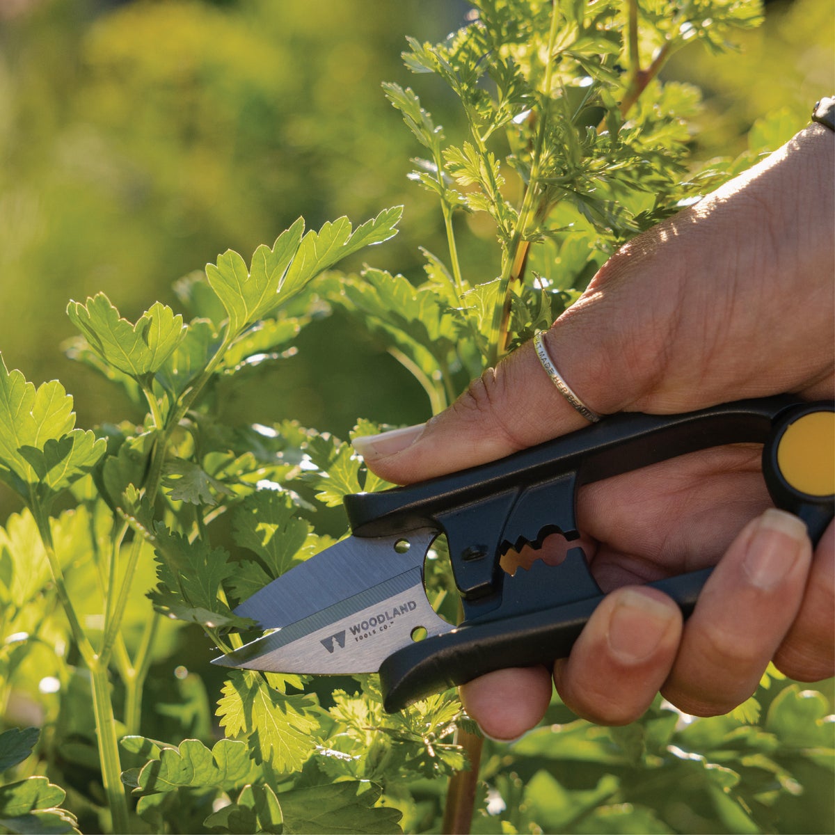 Woodland Tools Regular Duty Herb Snip Image 2