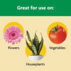 Miracle-Gro Shake 'n Feed 8 Lb. All Purpose Plant Food Image 4