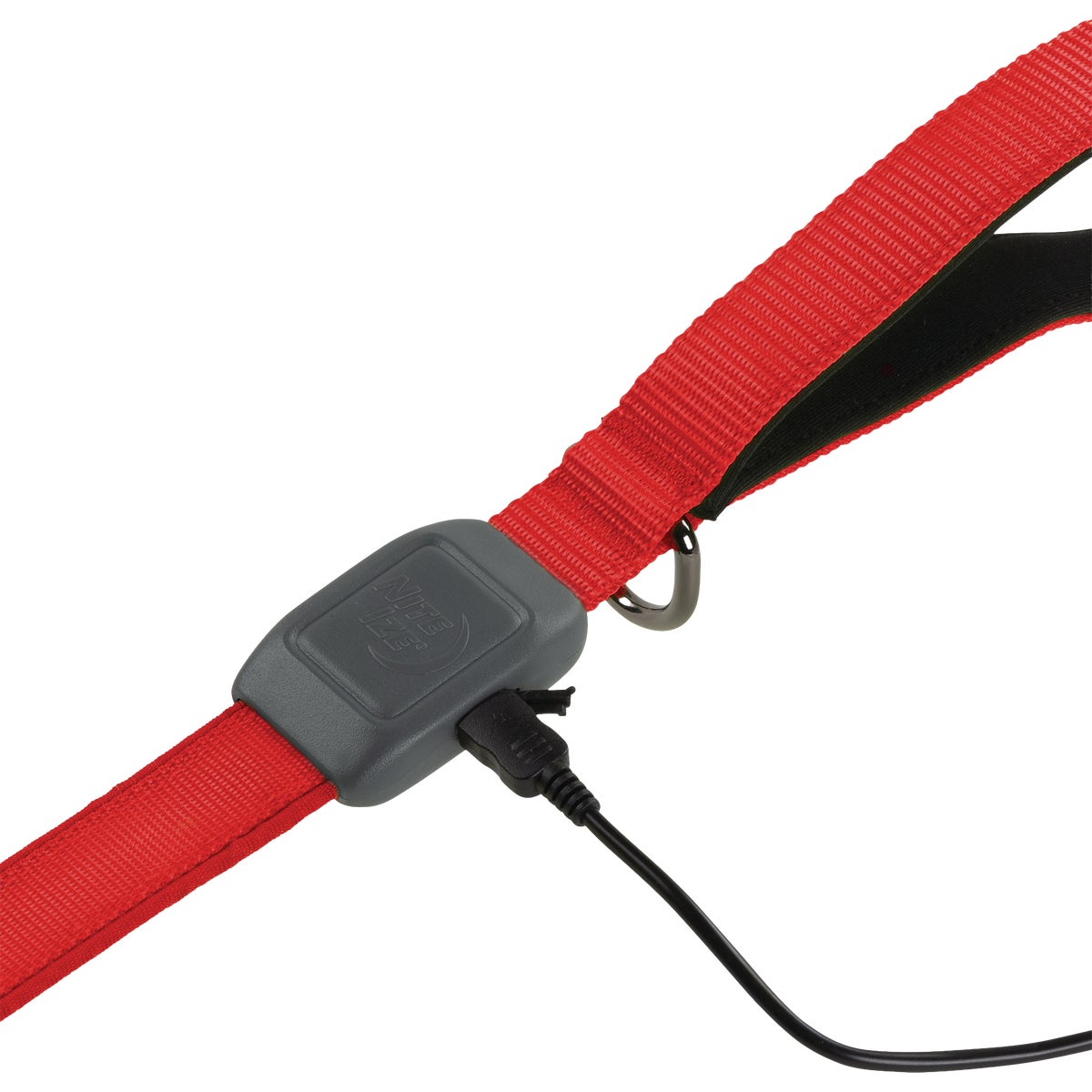 NiteDog Red Rechargeable LED Leash Image 6