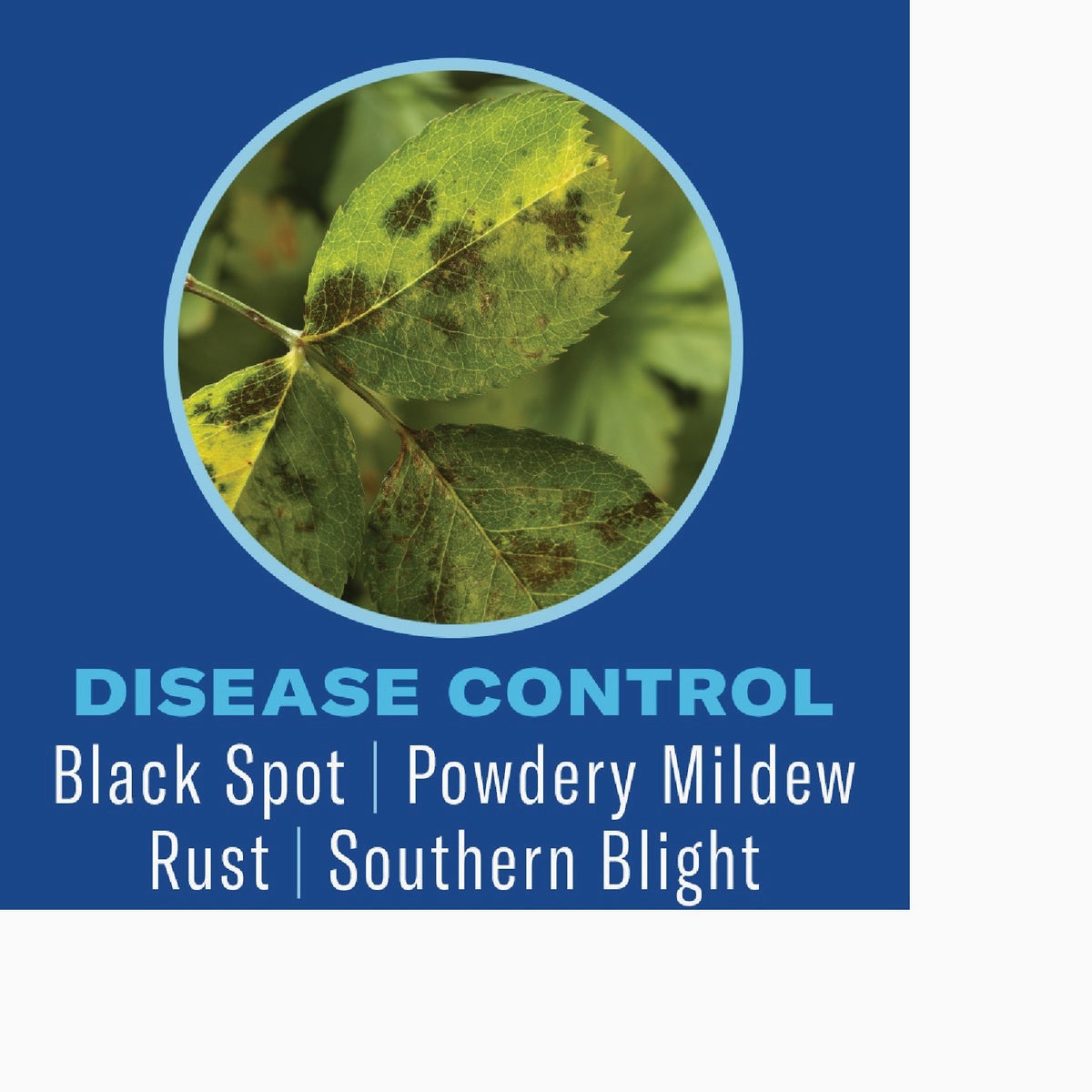 BioAdvanced 4 Lb. Ready To Use Granules Shrub Care Protect & Feed Insect Killer Image 3