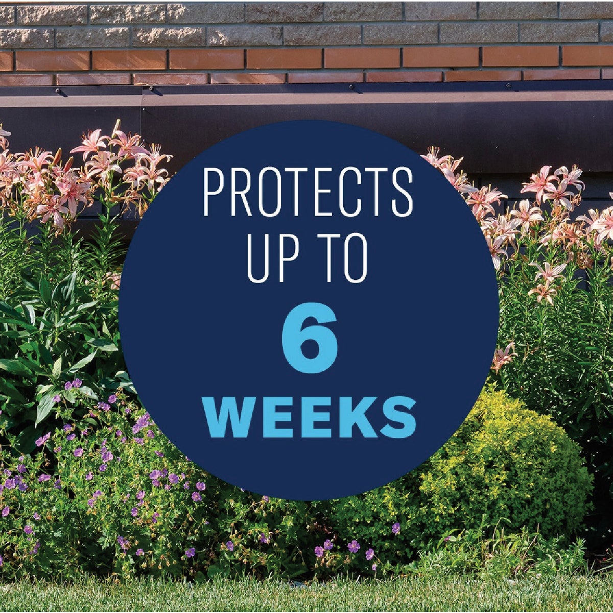BioAdvanced 4 Lb. Ready To Use Granules Shrub Care Protect & Feed Insect Killer Image 6