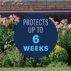 BioAdvanced 4 Lb. Ready To Use Granules Shrub Care Protect & Feed Insect Killer Image 6