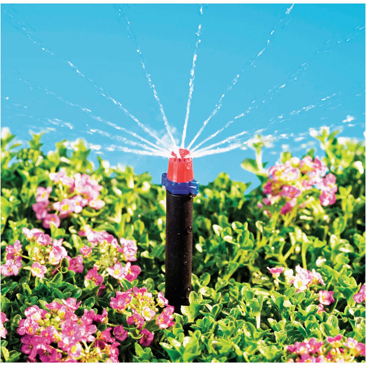 Raindrip 12 GPH Full-Circle Drip Irrigation Micro Sprayer (10-Pack) Image 2