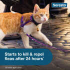 Seresto 8 Month Flea & Tick Collar for Cats Image 3