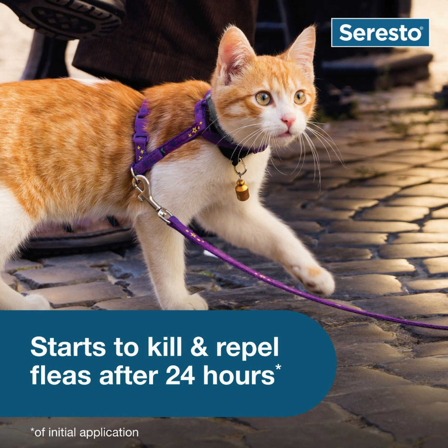 Seresto 8 Month Flea & Tick Collar for Cats Image 3