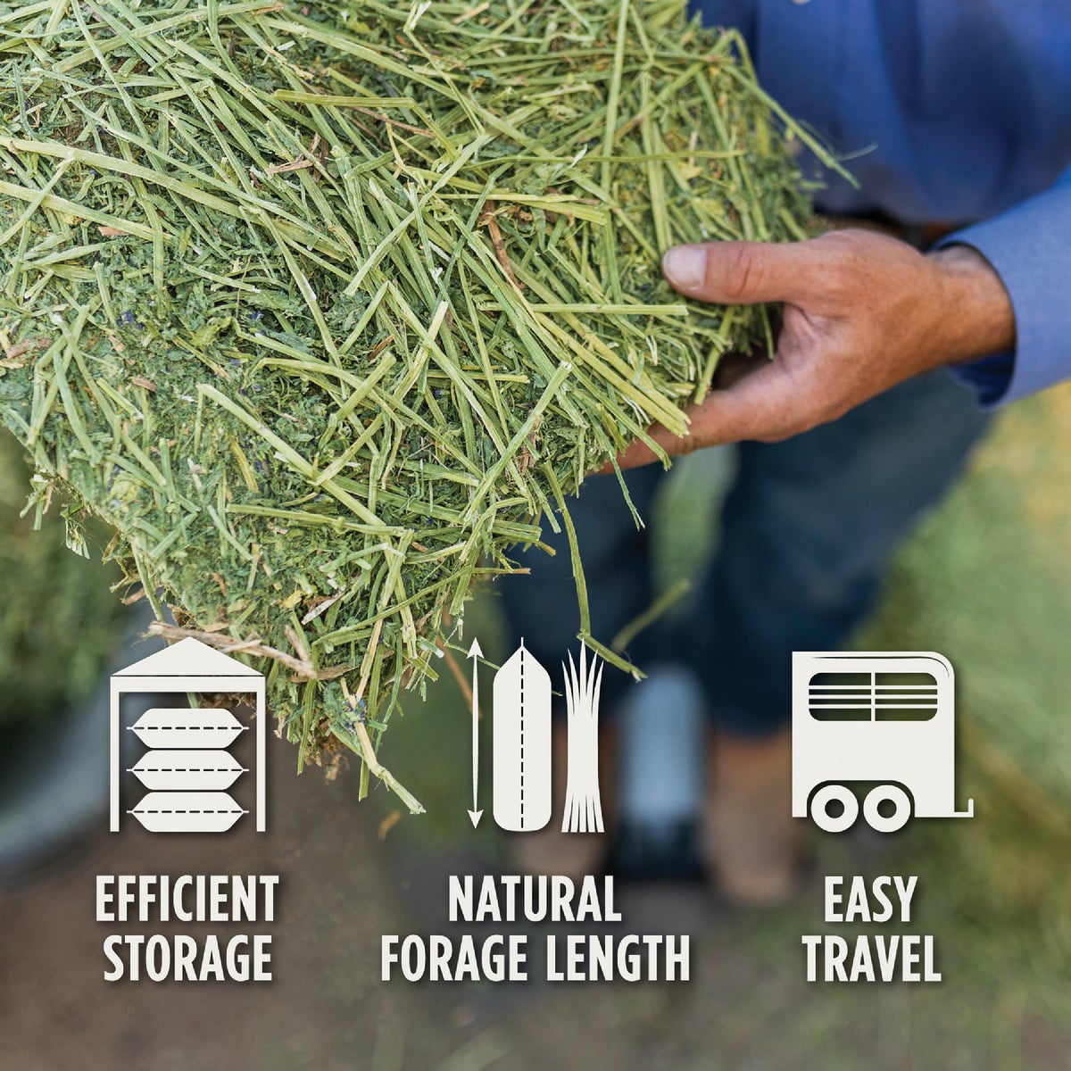 Standlee Premium Western Forage 50 Lb. Premium Timothy Grab & Go Compressed Bale Image 2