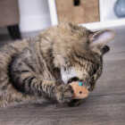 SmartyKat Chickadee Chirp Electronic Sound Catnip Cat Toy Image 2