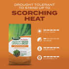 Scotts Turf Builder 4 Lb. 1330 Sq. Ft. Bermudagrass Grass Seed, Fertilizer, and Soil Improver Combination Image 7