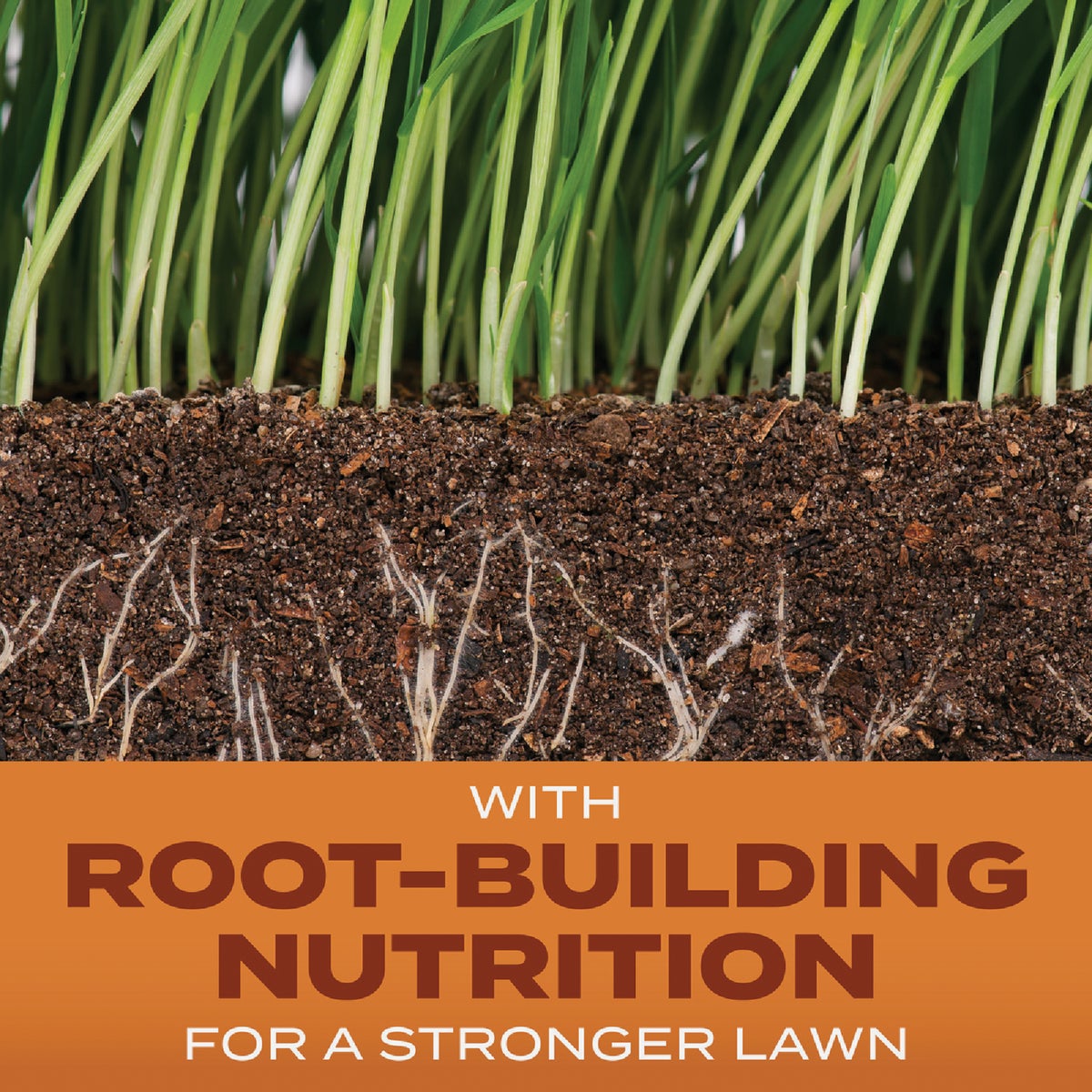 Scotts Turf Builder 4 Lb. 1330 Sq. Ft. Bermudagrass Grass Seed, Fertilizer, and Soil Improver Combination Image 2