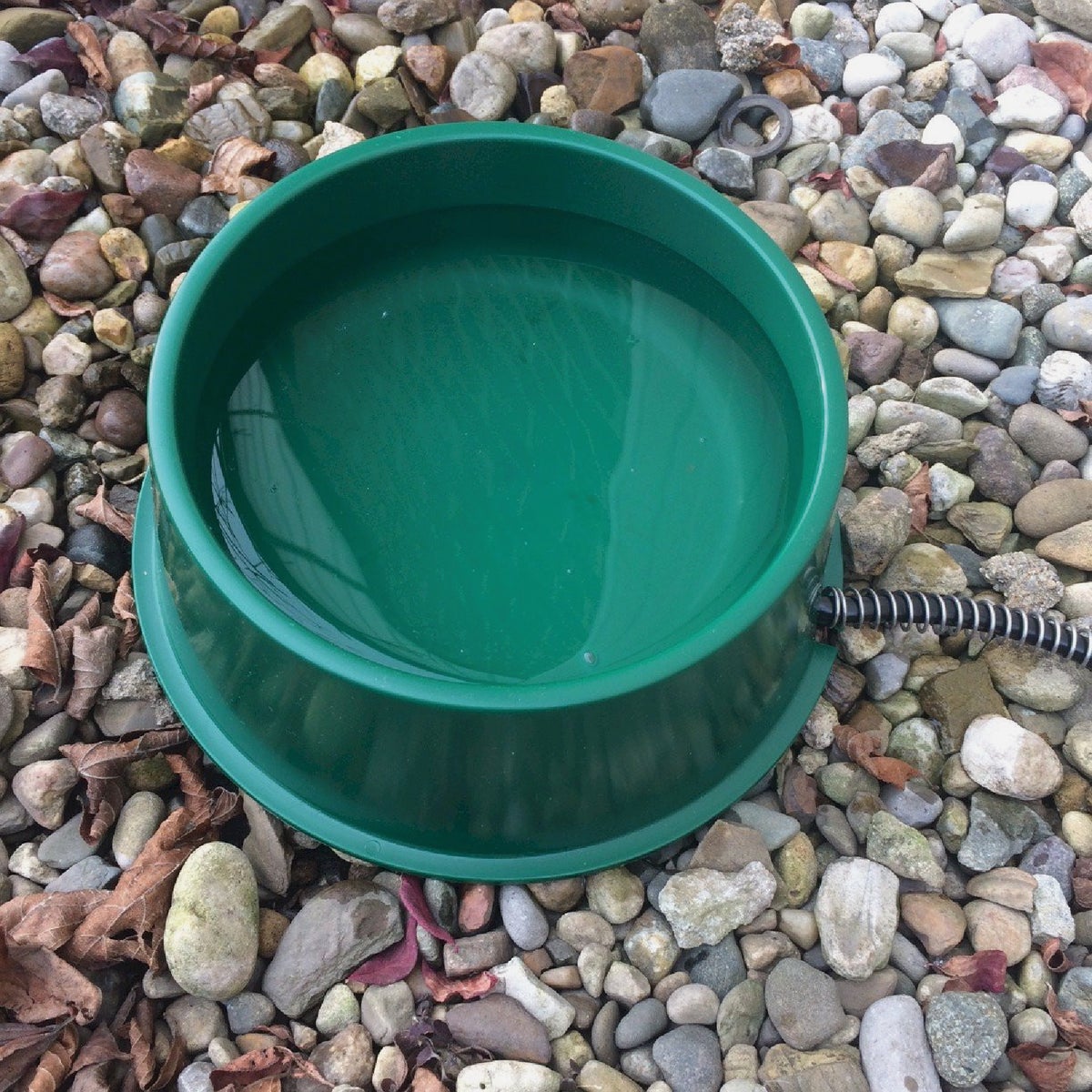 Farm Innovators 1 Qt. Plastic Heated Pet Bowl Image 2