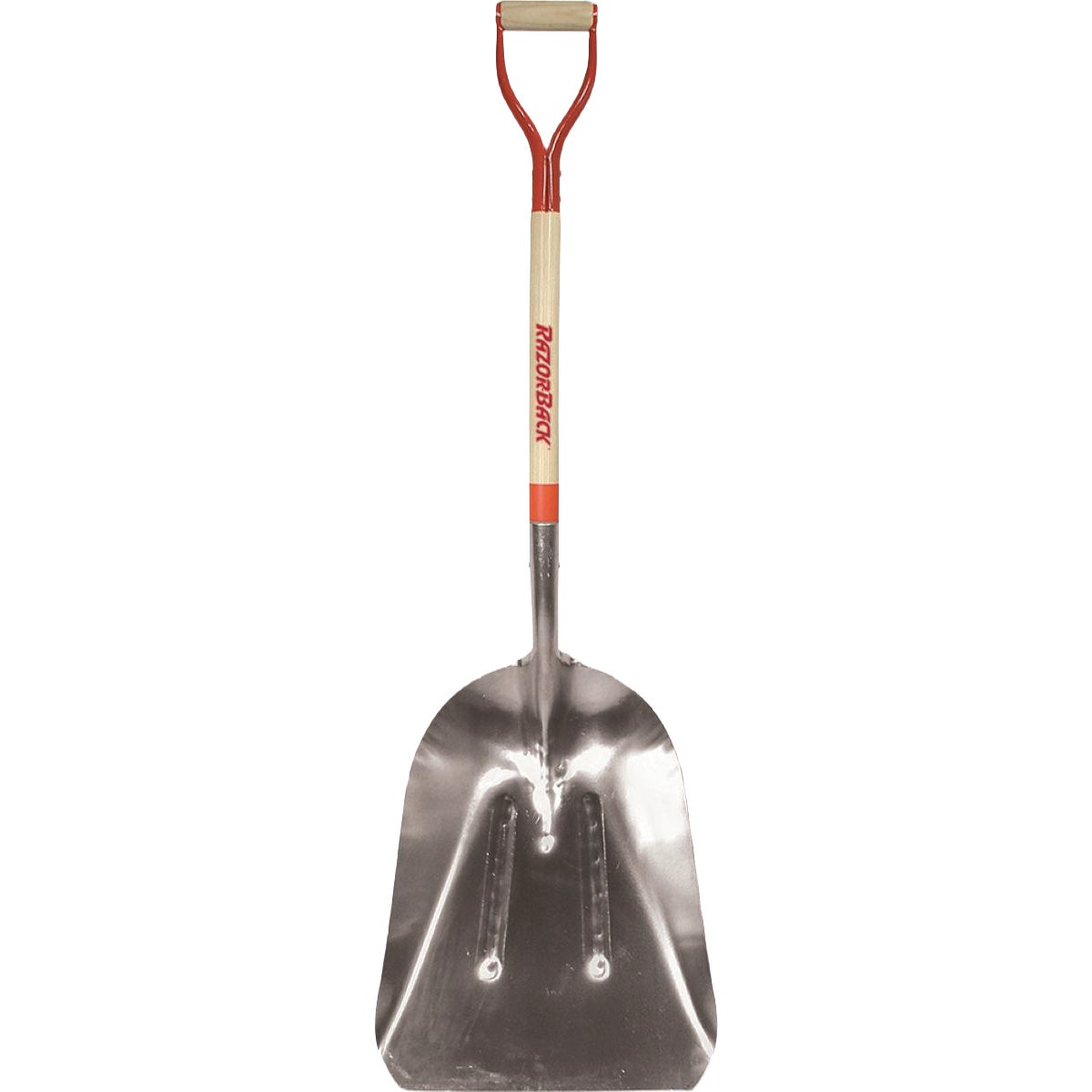 Razor-Back 31 In. #14 Aluminum Western Pattern Scoop Shovel with Wood Handle