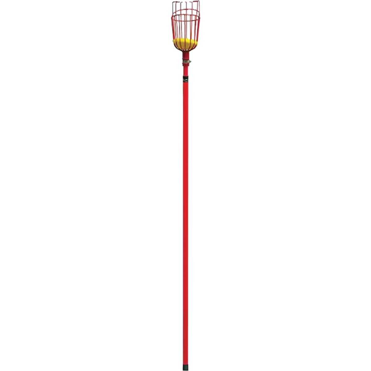 Corona 12 Ft. Extendable Fruit Picker