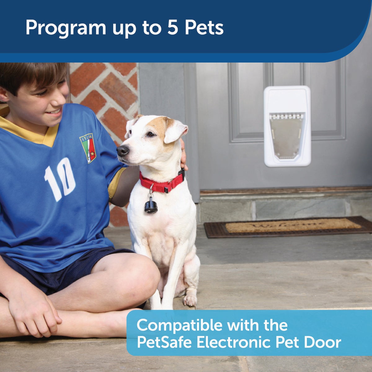 PetSafe Smart Electronic Pet Door Key Image 4