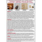 Durham's Rock Hard 1 Lb. Can Powder Water Putty Image 6