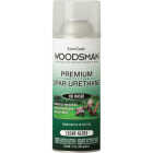 EasyCare Woodsman Gloss Indoor/Outdoor Spar Urethane Varnish, Clear, 12 Oz. Image 1