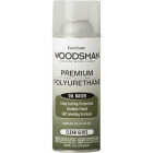 EasyCare Woodsman Gloss Clear Spray Polyurethane, 12 Oz. Image 1