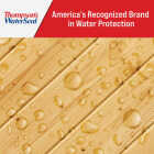 Thompsons WaterSeal Clear VOC MultiSurface Waterproofing Sealer, 6 Gal. Image 6
